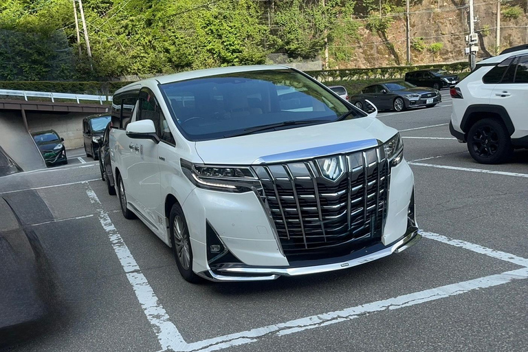 Chubu Airport: Private Nagoya Arrival Sightseeing Tour