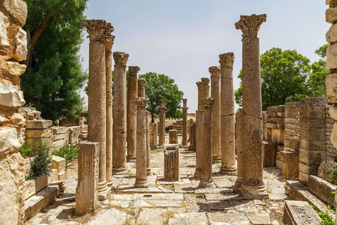 Visite guidée privée de 5 jours dans le nord de la TunisieVisite guidée privée de 7 jours dans le nord de la Tunisie