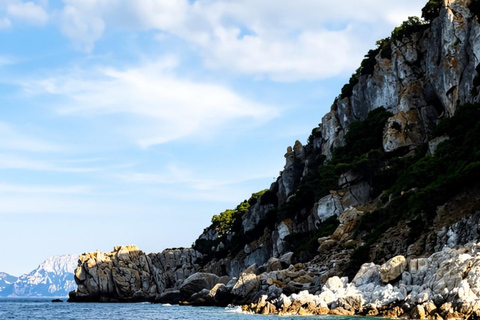Golfo Aranci: Dolphin-watching tour on a luxury RIB boat with skipper Golfo Aranci: Dolphin-watching tour on a luxury RIB with skipper