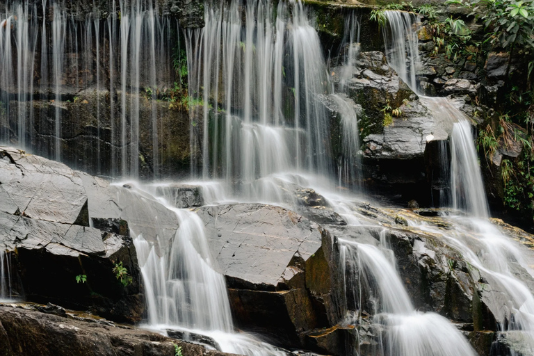 Guangzhou: Explore UNESCO Reserve on the Tropic of Cancer