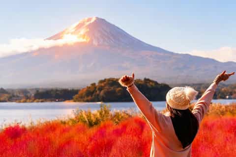 The BEST Mount Fuji Spring activities 2026 - FREE Cancellation