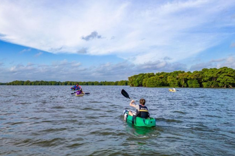Negombo private city-Lagoon: Sunrise or Sunset Kayaking Tour