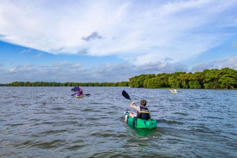 Negombo private city-Lagoon: Sunrise or Sunset Kayaking Tour
