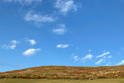 Nara: Mt. Wakakusa Family Picnic Trail with Guide