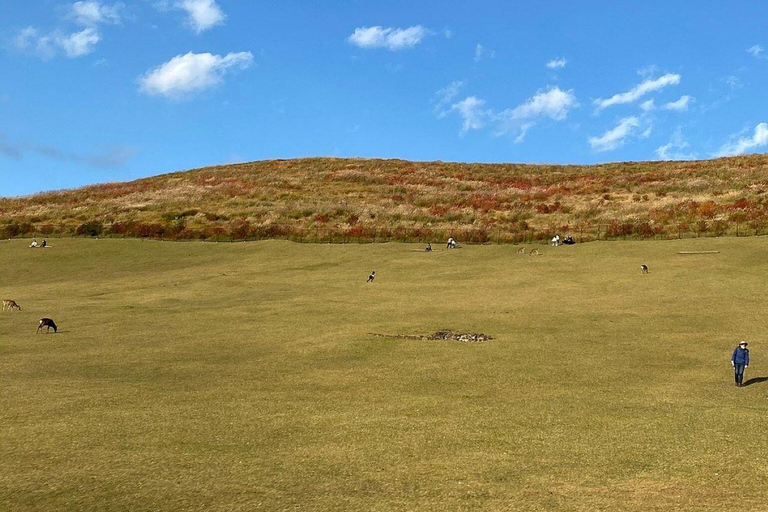 Nara: Mt. Wakakusa Family Picnic Trail with Guide