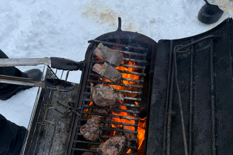 Rovaniemi: Private Snowmobile Trip in Lapland