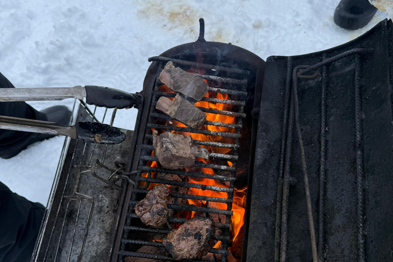 Rovaniemi: Private Snowmobile Trip in Lapland