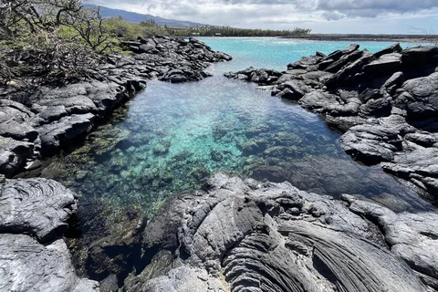 Escursione sulla costa di Kīholo e bagno nel blu acqua con i nativi hawaiani