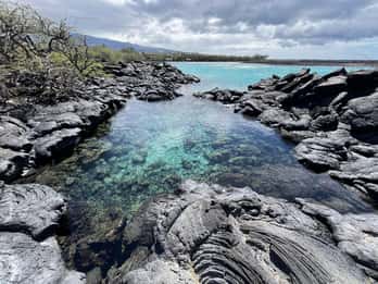 Randonnée sur la côte de Kīholo et baignade dans l'eau bleue avec des autochtones hawaïens