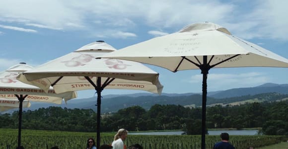 Yering Winery, LV Chandon Winery, Puffing Billy Steam Train