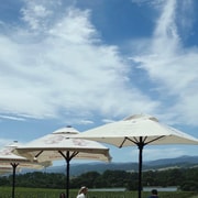 Yering Winery, LV Chandon Winery, Puffing Billy Steam Train