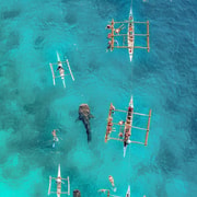 Cebu Adventure: Private Whale Shark + Kawasan Canyoneering Cebu Adventure: Private Whale Shark + Kawasan Canyoneering