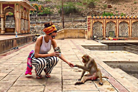 Jaipur: Royal Gems Full-Day Private Tour with Guide & AC Car Jaipur: Royal Gems Full-Day Private Tour with Guide & AC Car