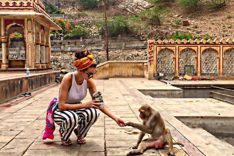 Jaipur: Royal Gems Full-Day Private Tour with Guide & AC Car Jaipur: Royal Gems Full-Day Private Tour with Guide & AC Car