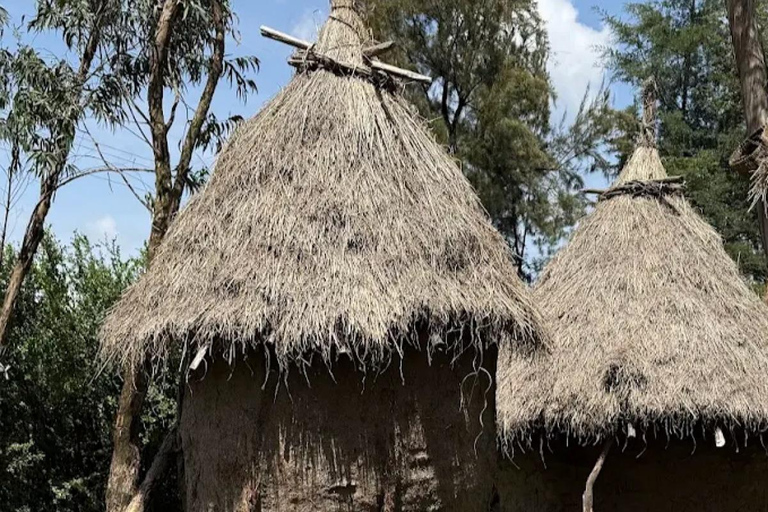 Addis Ababa: Bora Park & Bulbula Guided Tour with Pickup