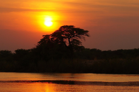 Parque Nacional Kruger de luxo: Safári e rota panorâmica