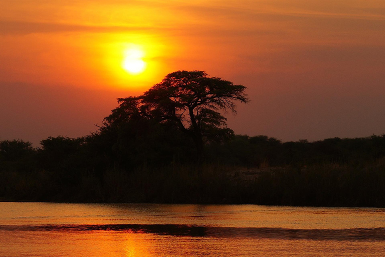 Safari de lujo de 9 días por el Parque Kruger y Ciudad del CaboSafari de 9 días por el Parque Kruger y Ciudad del Cabo en autocar de lujo