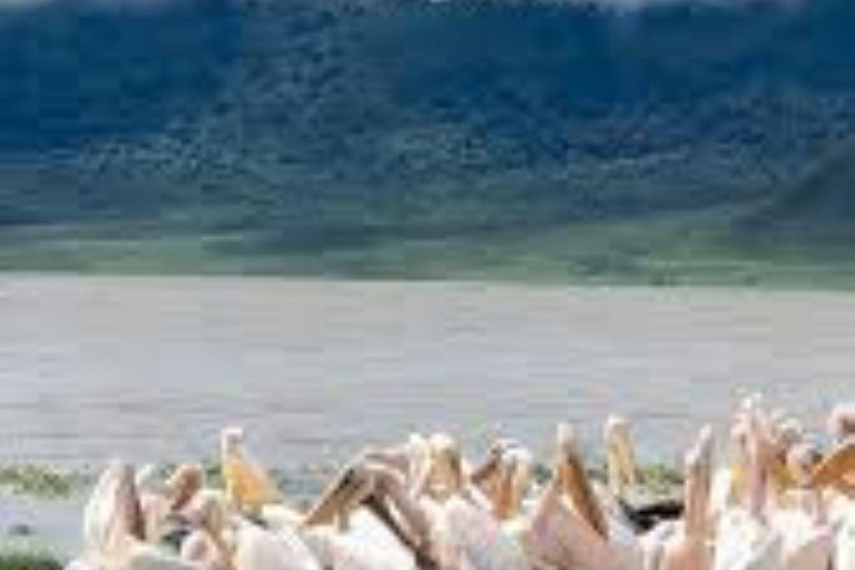 From Nairobi: Lake Magadi 2-Day Trip with Game Drive & Hike