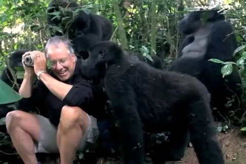Kigali: Volcanoes Gorilla Trekking & Lake Ruhondo Boat Ride Kigali: Gorilla in Trekking Volcanoes National Park Only