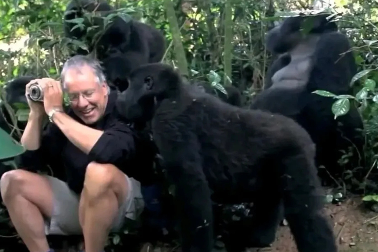 Kigali: Volcanoes Gorilla Trekking & Lake Ruhondo Boat Ride Kigali: Gorilla in Trekking Volcanoes National Park Only