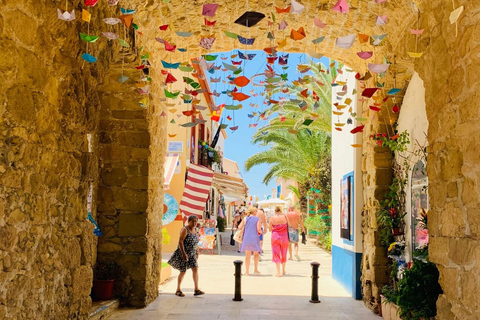 From Albir & Benidorm: Tabarca Island Day Trip From Benidorm: Gran Bali hotel