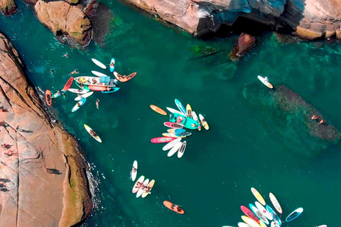 Rio de Janeiro: Boat Tour of Barra, Amores, and Islands Beaches Rio de Janeiro: Boat Tour along Barra Beach, Amores Beach, and the Islands