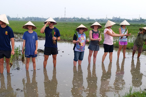 Hoi An : Découvrez la vie traditionnelle de l&#039;agriculture et de la pêche