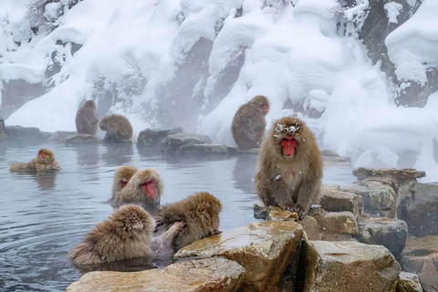 Private Nagano Luxury Cultural & Nature Day Tour from Tokyo