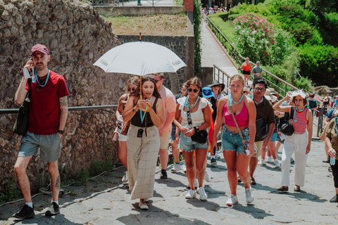 Von Rom aus: Pompeji und Herculaneum mit dem Hochgeschwindigkeitszug