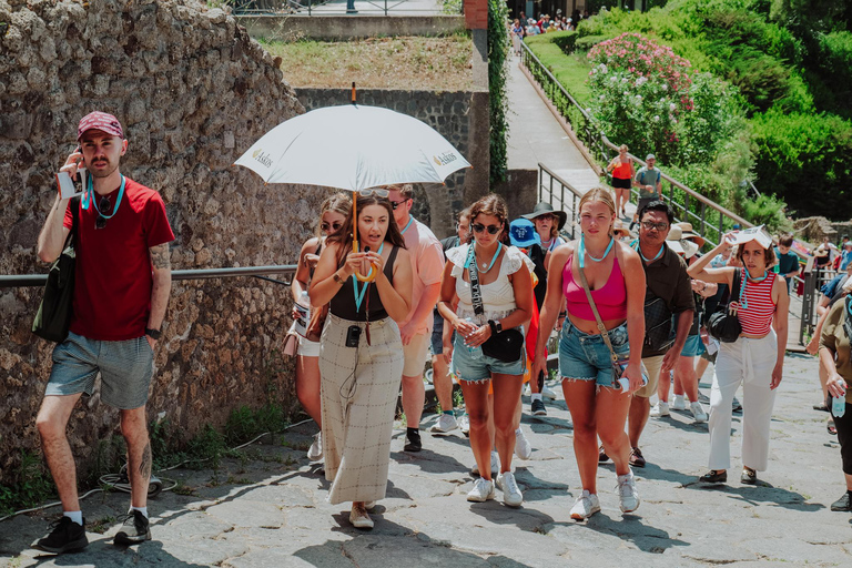 Från Rom: Pompeji och Herculaneum med höghastighetståg