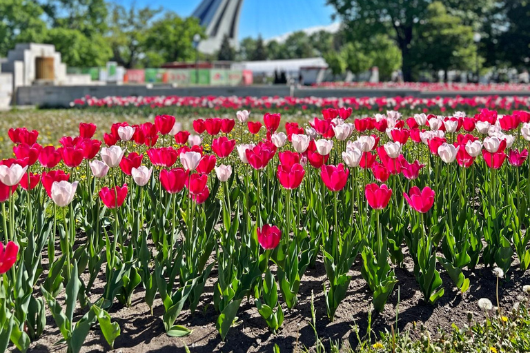 Tour privato in auto di Montreal di 3 ore con guida locale esperta