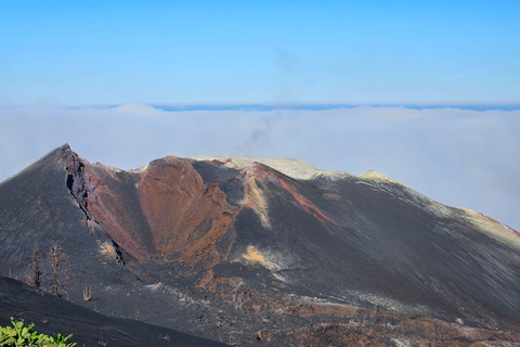 La Palma: Tour naar de nieuwe vulkaan Tajogaite 360º.Ophalen in Santa Cruz de La Palma