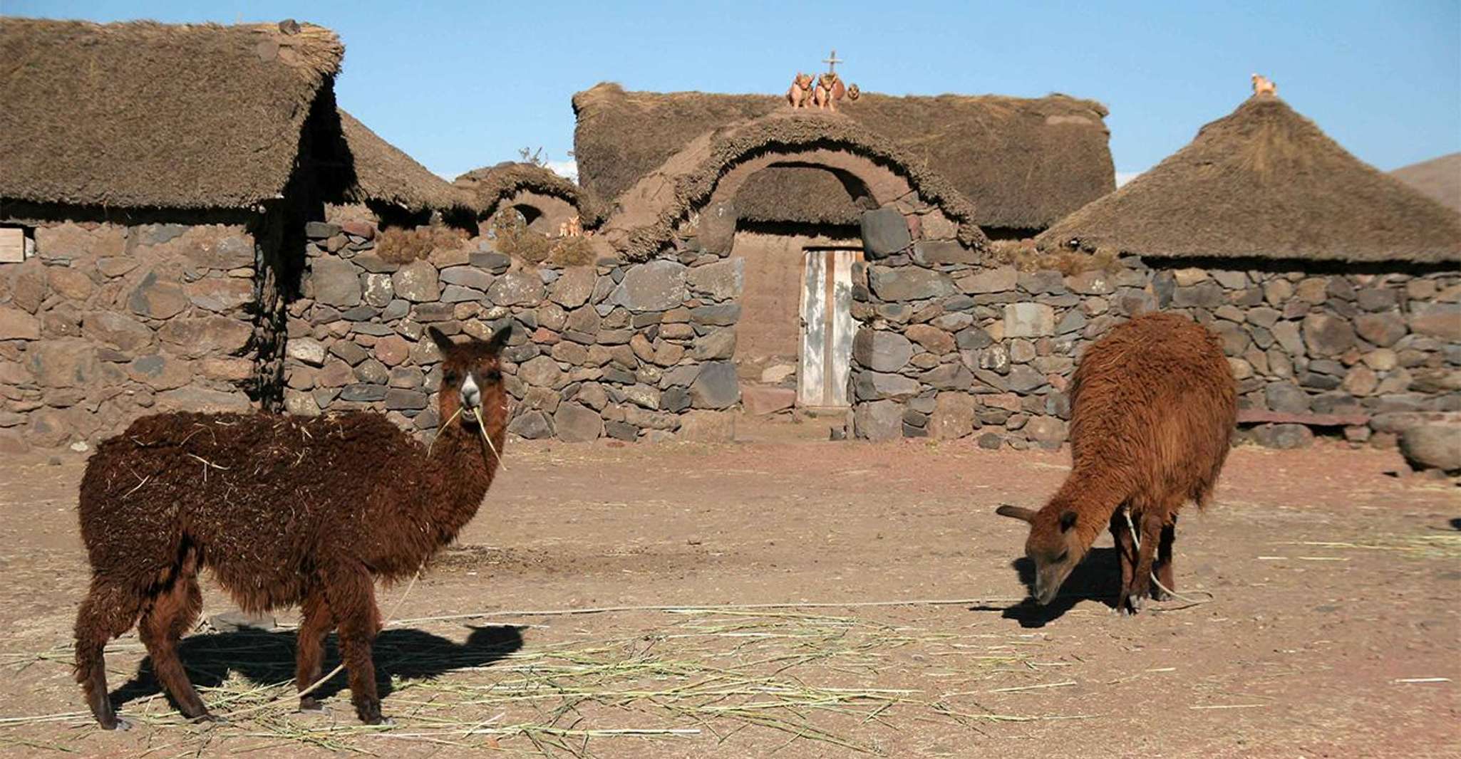 Excursion aux chullpas de Sillustani, cimetière mystérieux - Hizvo