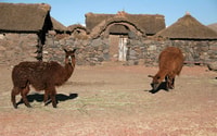 Excursión a las chullpas de Sillustani, cementerio misterioso - Hizvo