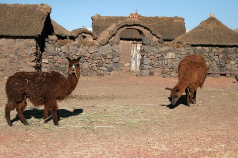 Excursion to the chullpas of Sillustani: Mysterious cemetery