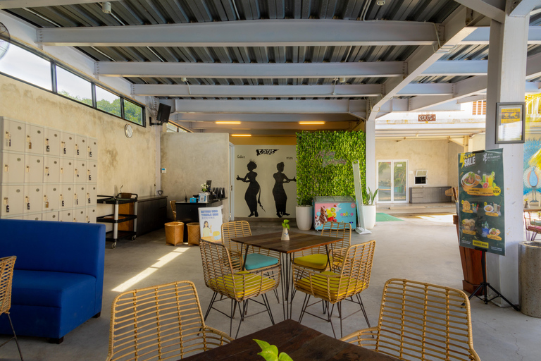 Bali: "Odkrywca" spotyka się z delfinami przy herbacie