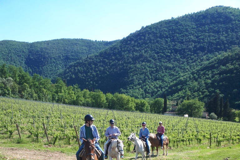 Florence: Horse ride 3h and Wine Tasting&Lunch at a castle