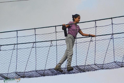 Nairobi: Caminhada pela Floresta Ngare Ndare e Canopy WalkNairobi: Caminhada pela Floresta Ngare Ndare e Passeio pela Copas das Árvores