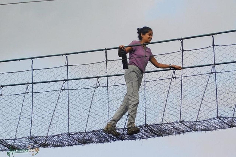 Nairobi: Caminhada pela Floresta Ngare Ndare e Canopy WalkNairobi: Caminhada pela Floresta Ngare Ndare e Passeio pela Copas das Árvores