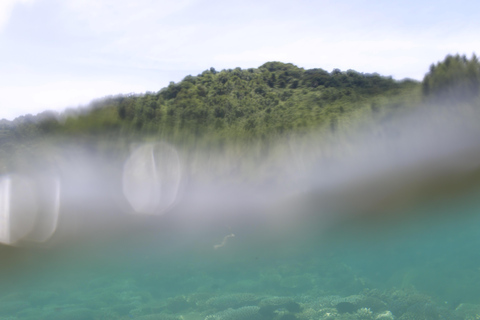 Pacific Harbour: Beqa Lailai Lounge with Lunch & Snorkeling