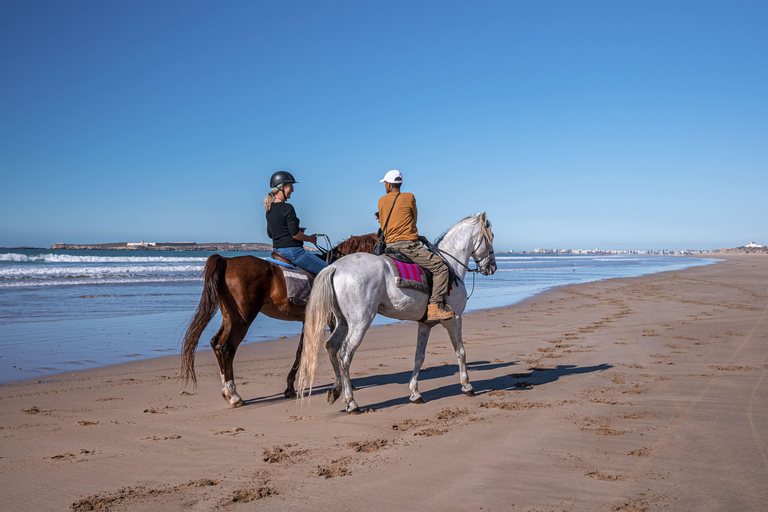 Mykonos: Horseback Riding To Fokos Beach & Farmland