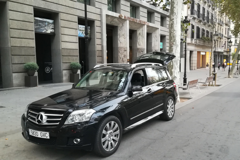 Barcelona: Private City Tour