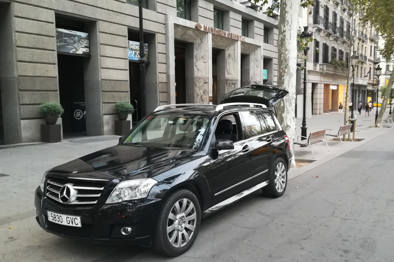Barcelona: Private City Tour