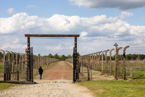 De Cracóvia: Visita guiada a Auschwitz-Birkenau com transporte