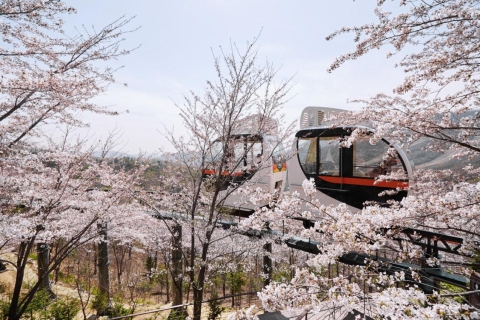 Seúl: Excursión de un día al Jardín Botánico de Hwadam y a la Isla de las Flores de NamiExcursión en Nami y Railbike, encuentro en Myeongdong