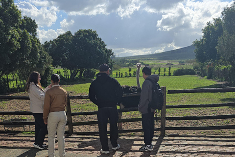 Cape Town: Ostrich Ranch Safari with Hotel Transfer