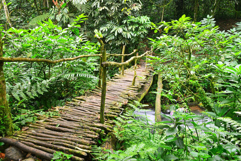 5-Day Uganda Safari: Chimpanzees & Gorillas on midrange