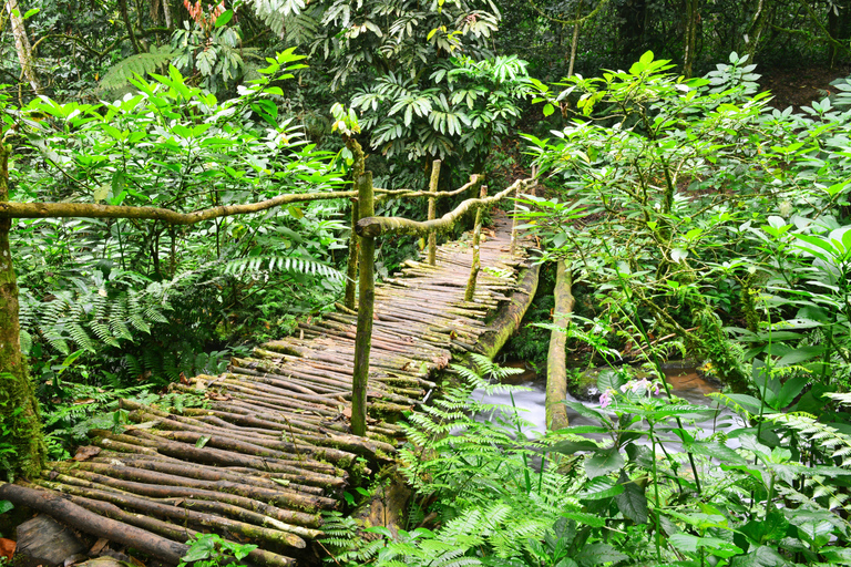 5-Day Uganda Safari: Chimpanzees & Gorillas on midrange