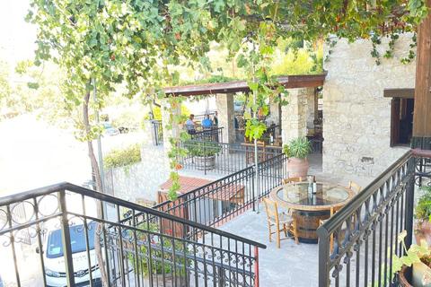 Paphos Hills Wine Tour: Tsangarides, Kolios & Vouni Panayia