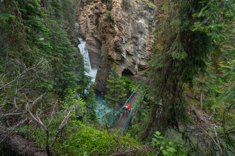 Private Tour: Lake Louise, Moraine, Peyto & Johnston Canyon